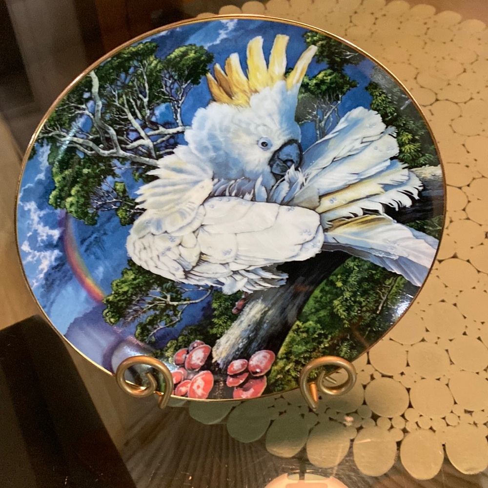 Exotic Birds of the tropic